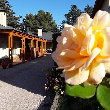 Complejo Las Calandrias Villa Sierra de la Ventana Esterno foto